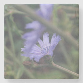 Posavasos De Piedra Stone Coaster