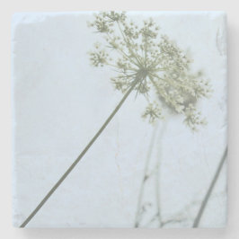 Posavasos De Piedra Stone Coaster