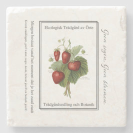 Posavasos De Piedra Strawberry seedling is a Christmas tree