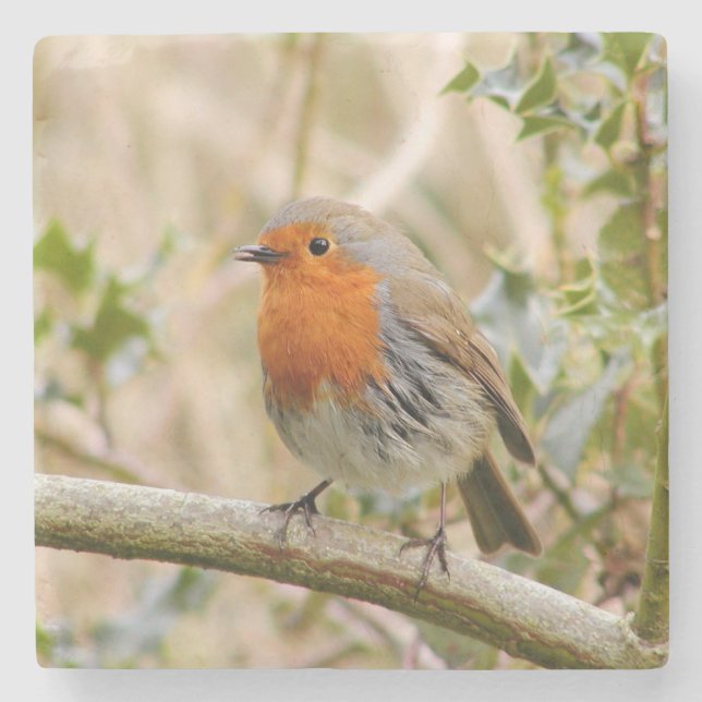 Posavasos De Piedra Stunning Robin (Anverso)