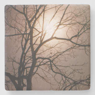 Posavasos De Piedra Sueño de luna