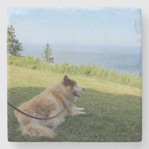 Posavasos De Piedra Suka Disfrutando Cape George