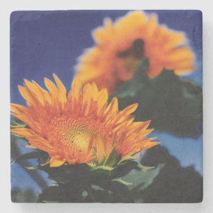 Posavasos De Piedra Sunflower