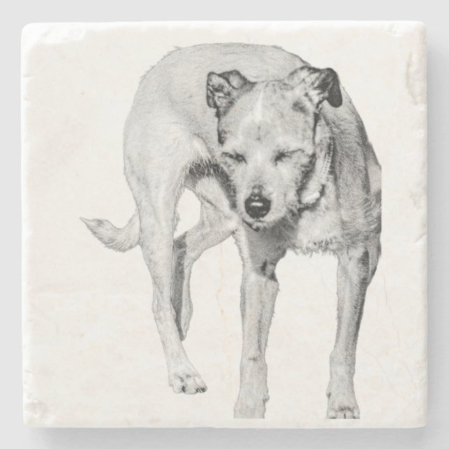 Posavasos De Piedra Sunny Squint (Anverso)