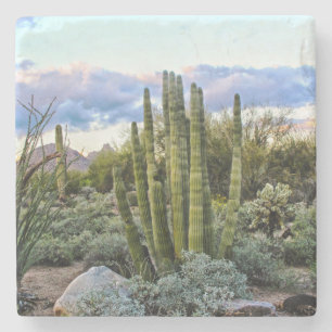 Posavasos De Piedra Sunset de Scottsdale