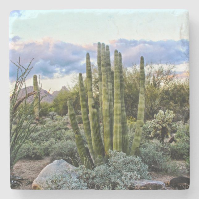 Posavasos De Piedra Sunset de Scottsdale (Anverso)