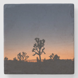 Posavasos De Piedra Sunset Joshua Trees