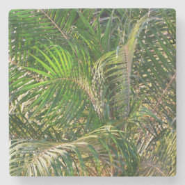 Posavasos De Piedra Sunset Lit Palm Fronds Tropical