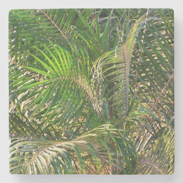 Posavasos De Piedra Sunset Lit Palm Fronds Tropical (Anverso)