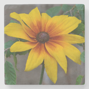 Posavasos De Piedra Susan Floral