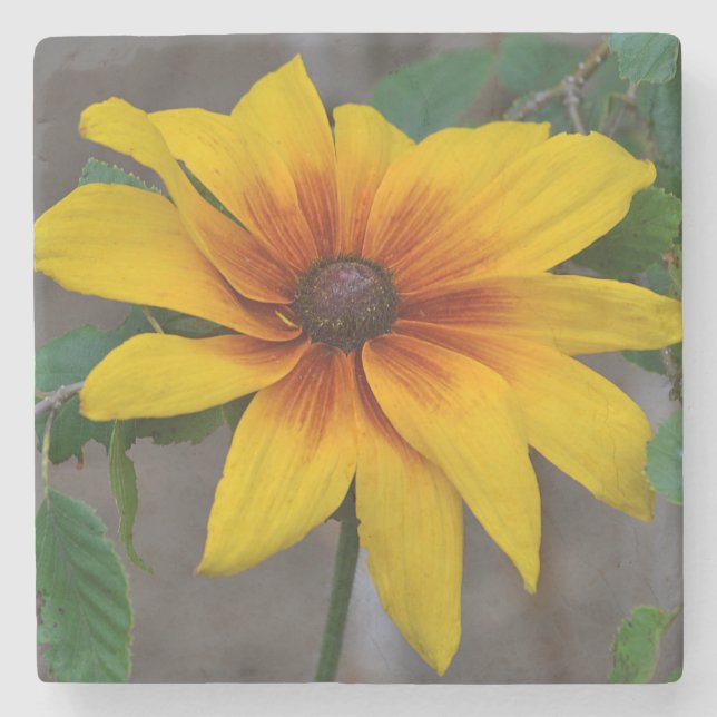 Posavasos De Piedra Susan Floral (Anverso)