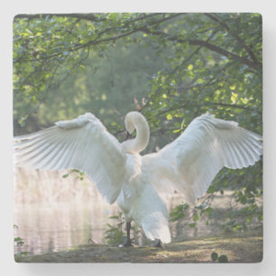 Posavasos De Piedra Swan con alas extendidas