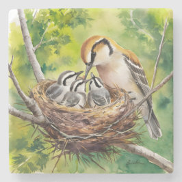 Posavasos De Piedra Sweet bird nest painting