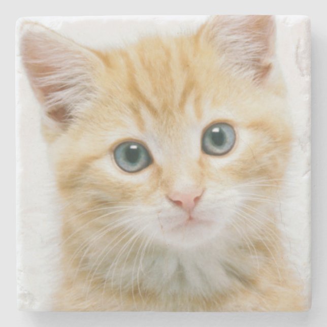 Posavasos De Piedra Tabby del naranja dulce (Anverso)