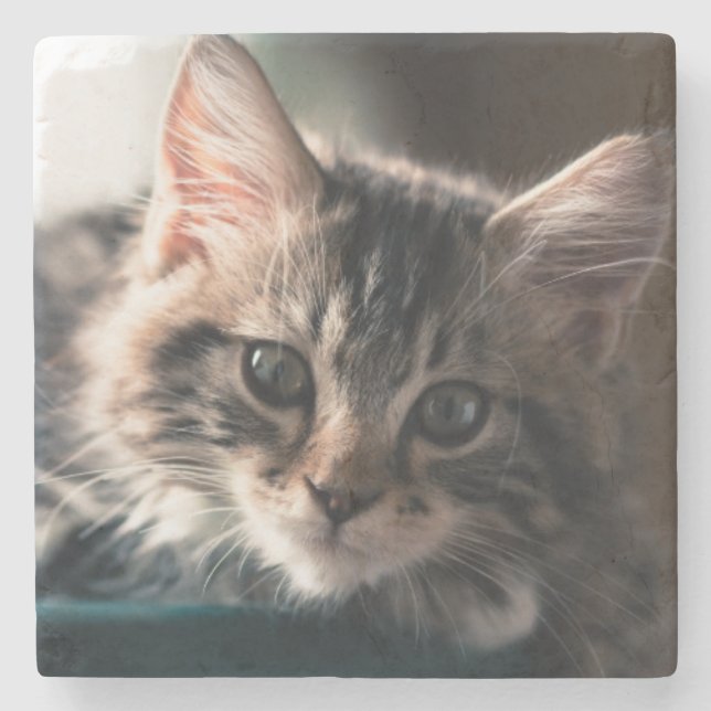 Posavasos De Piedra Tabby dulce (Anverso)