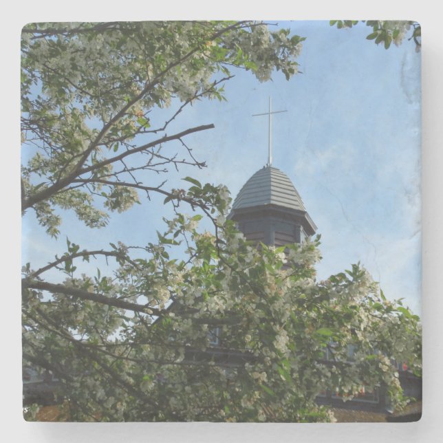 Posavasos De Piedra Tabernáculo en primavera - Viñedo de Martha (Anverso)