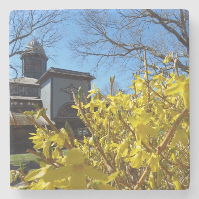 Posavasos De Piedra Tabernáculo y Forsythia - Viñedo de Martha (Anverso)