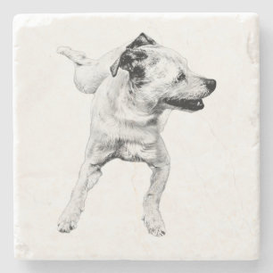 Posavasos De Piedra Tabla de sidores, tabla dinámica alegre