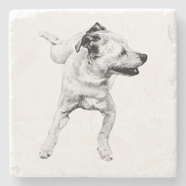 Posavasos De Piedra Tabla de sidores, tabla dinámica alegre (Anverso)