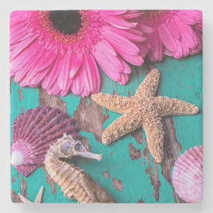 Posavasos De Piedra Tarimas y Seahorse rosados con las estrellas de