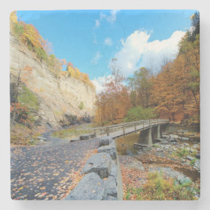 Posavasos De Piedra Taughannock baja parque de estado