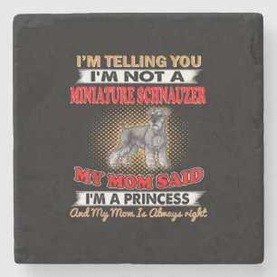 Posavasos De Piedra Te Digo Que No Soy Un Esnaúzer En Miniatura