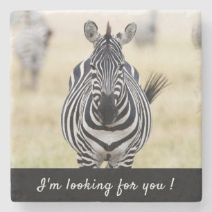 Posavasos De Piedra Te estoy buscando foto de Zebra con texto