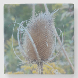 Posavasos De Piedra Teasel vacío