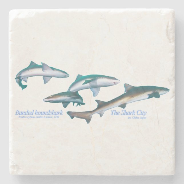 Posavasos De Piedra Tiburones rodados (Anverso)