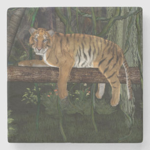 Posavasos De Piedra Tigre