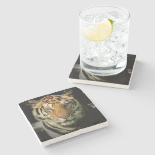 Posavasos De Piedra tigre