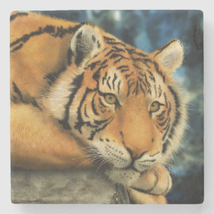 Posavasos De Piedra Tigre
