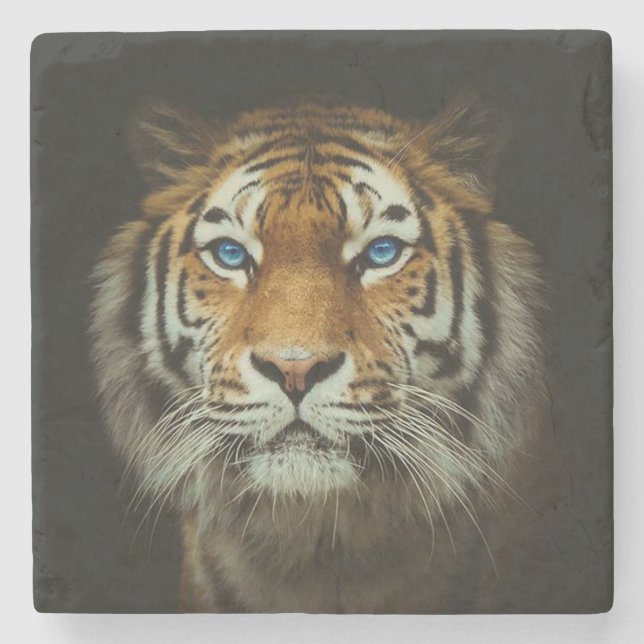 Posavasos De Piedra Tigre (Anverso)