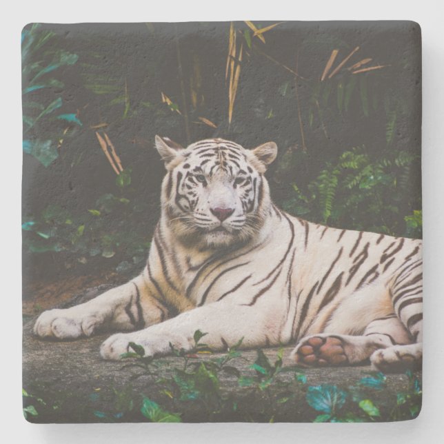 Posavasos De Piedra Tigre (Anverso)