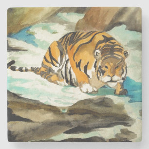 Posavasos De Piedra Tigre acuarela