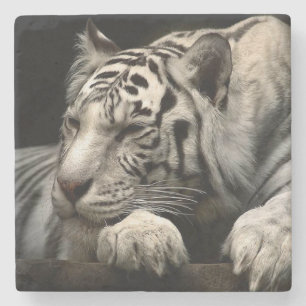 Posavasos De Piedra Tigre Blanco