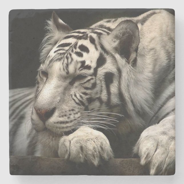 Posavasos De Piedra Tigre Blanco (Anverso)