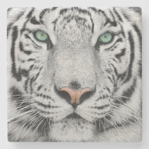 Posavasos De Piedra Tigre blanco