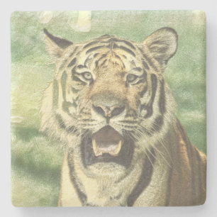 Posavasos De Piedra tigre metalizado