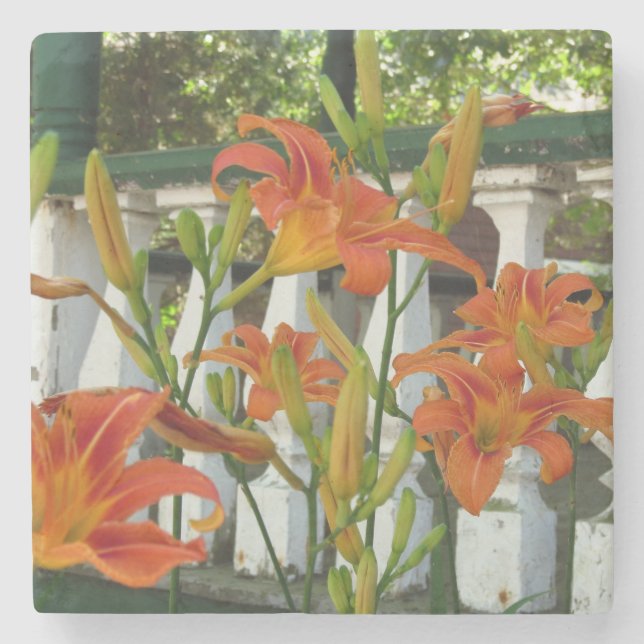 Posavasos De Piedra Tigre naranja Lilies - Viñedo de Martha (Anverso)
