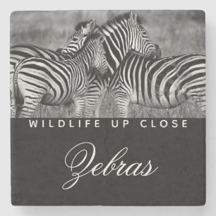 Posavasos De Piedra Tira animal Vida salvaje blanca negra cercana