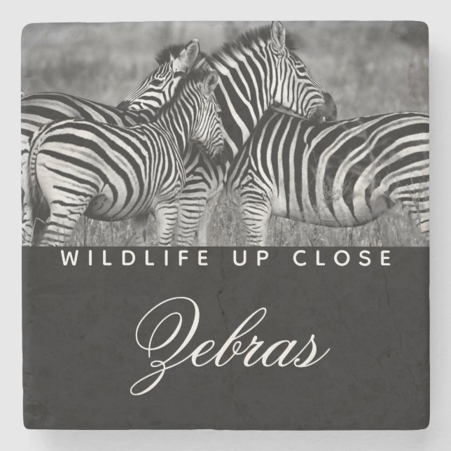 Posavasos De Piedra Tira animal Vida salvaje blanca negra cercana (Anverso)