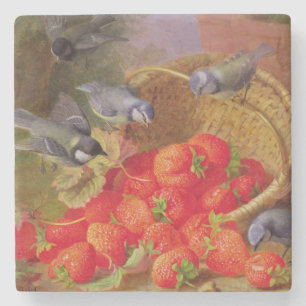Posavasos De Piedra Todavía vida con las fresas y Bluetits