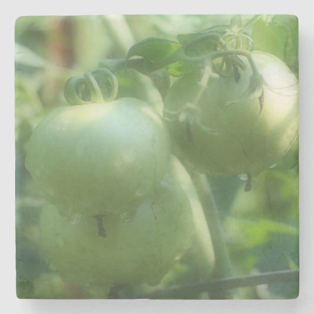 Posavasos De Piedra Tomates Verdes En La Naturaleza Del Vino (Anverso)