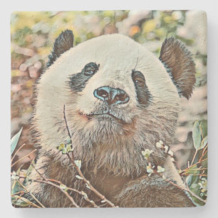 Posavasos De Piedra toony panda