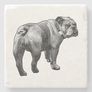 Posavasos De Piedra Toro Bulldog, Momentos Compartidos