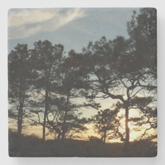 Posavasos De Piedra Torrey Pine Sunset II California