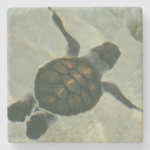 Posavasos De Piedra Tortuga de mar del bebé que nada hacia fuera al