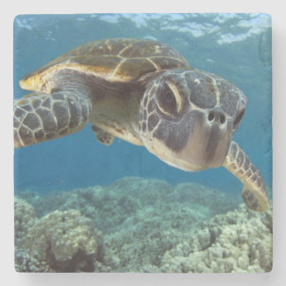 Posavasos De Piedra Tortuga de mar verde hawaiana