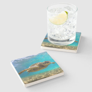 Posavasos De Piedra Tortuga de montaña rusa de piedra